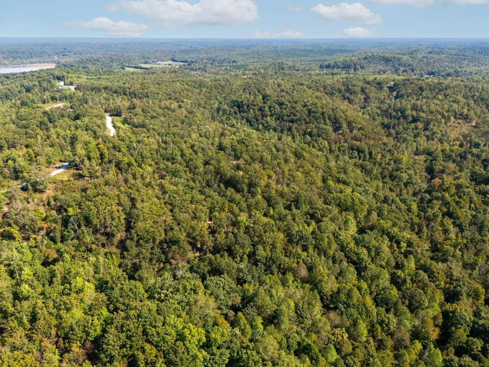33 Vista Ridge Dr Stewart, TN 37175