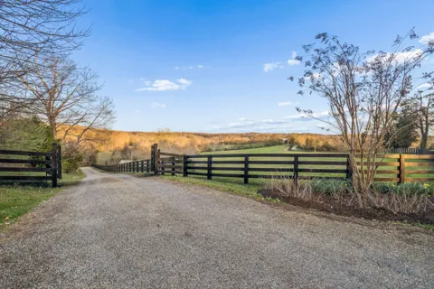 697 Johnson Branch Rd