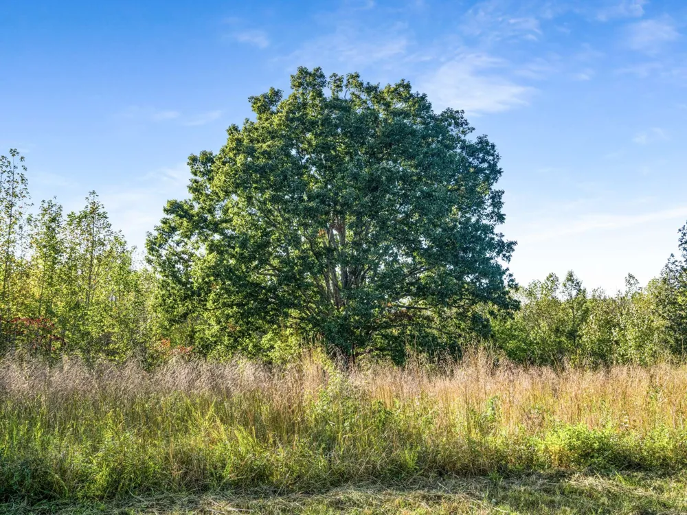 697 Johnson Branch Rd Williamsport, TN 38487