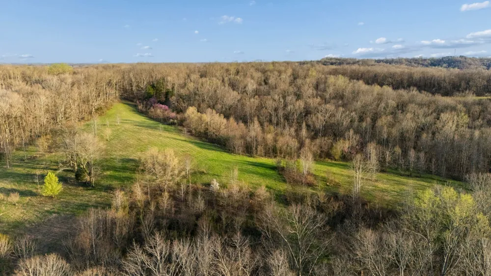 697 Johnson Branch Rd Williamsport, TN 38487