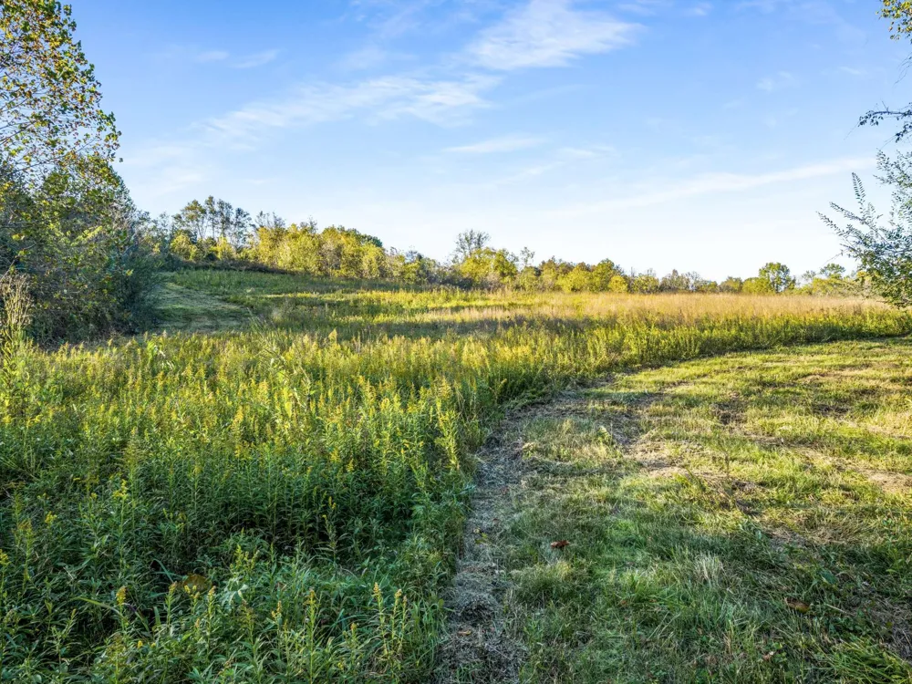 697 Johnson Branch Rd Williamsport, TN 38487