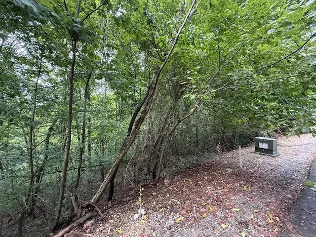 154 Center Hill Shores Drive Smithville, TN 37166