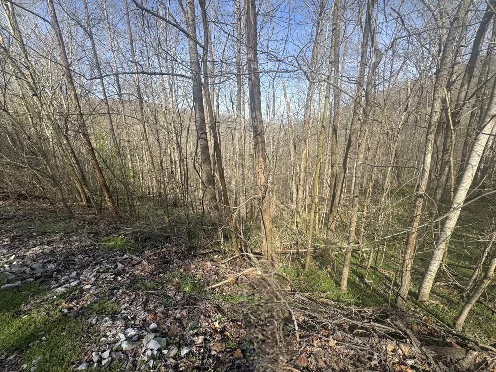154 Center Hill Shores Drive Smithville, TN 37166