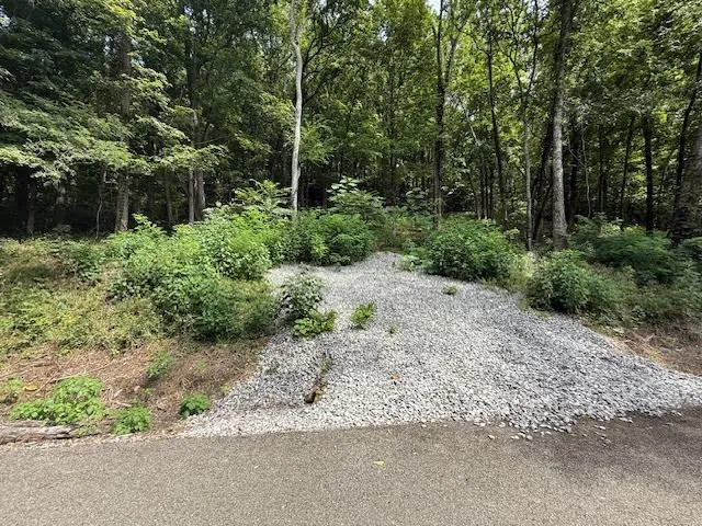 74 Williamson Cir Smithville, TN 37166