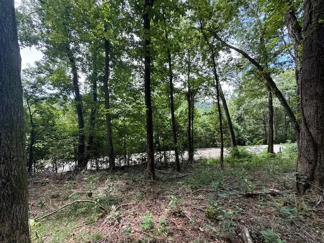 74 Williamson Cir Smithville, TN 37166