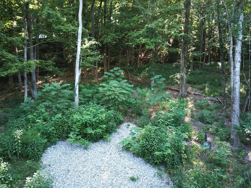 74 Williamson Cir Smithville, TN 37166