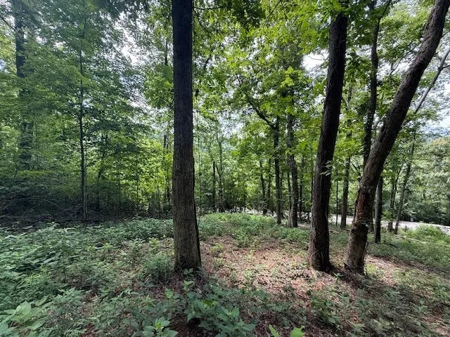 74 Williamson Cir Smithville, TN 37166