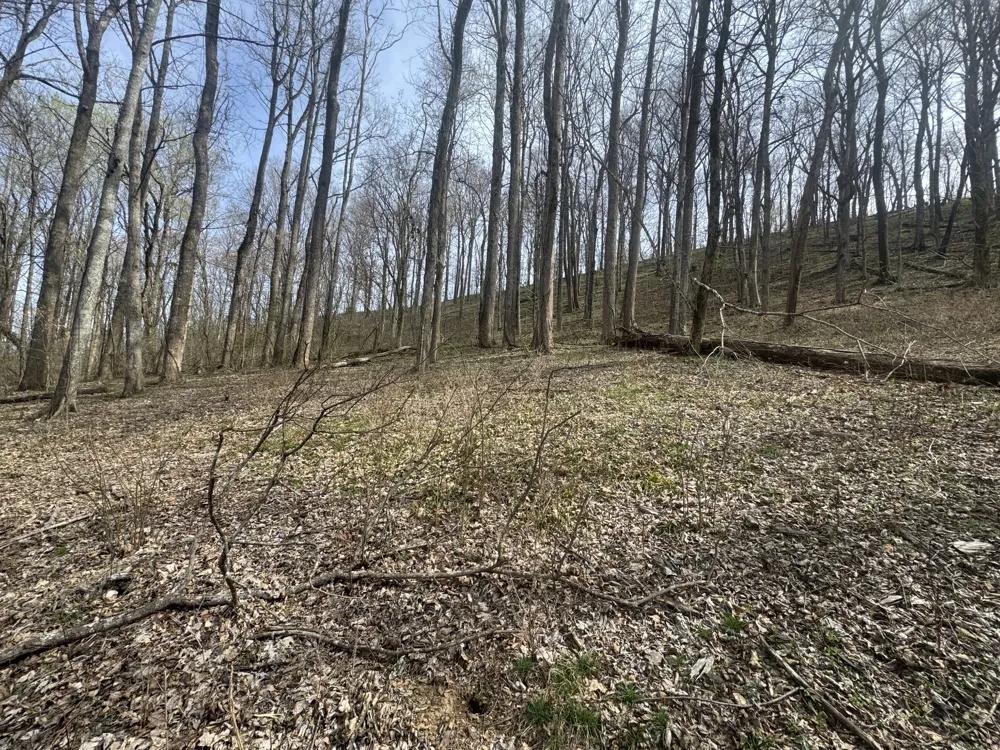 74 Williamson Cir Smithville, TN 37166