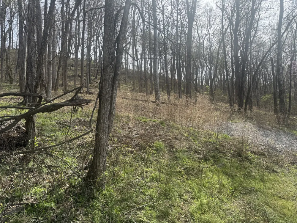 74 Williamson Cir Smithville, TN 37166