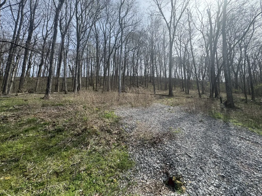74 Williamson Cir Smithville, TN 37166