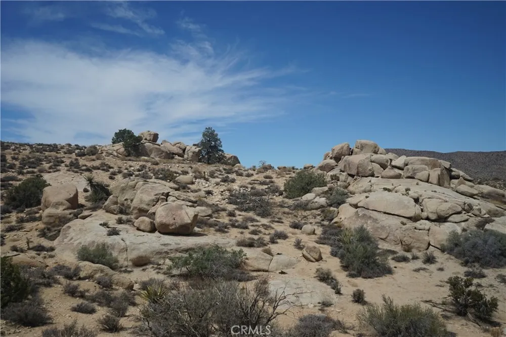 52588 Blackbrush Road Pioneertown, CA 92268