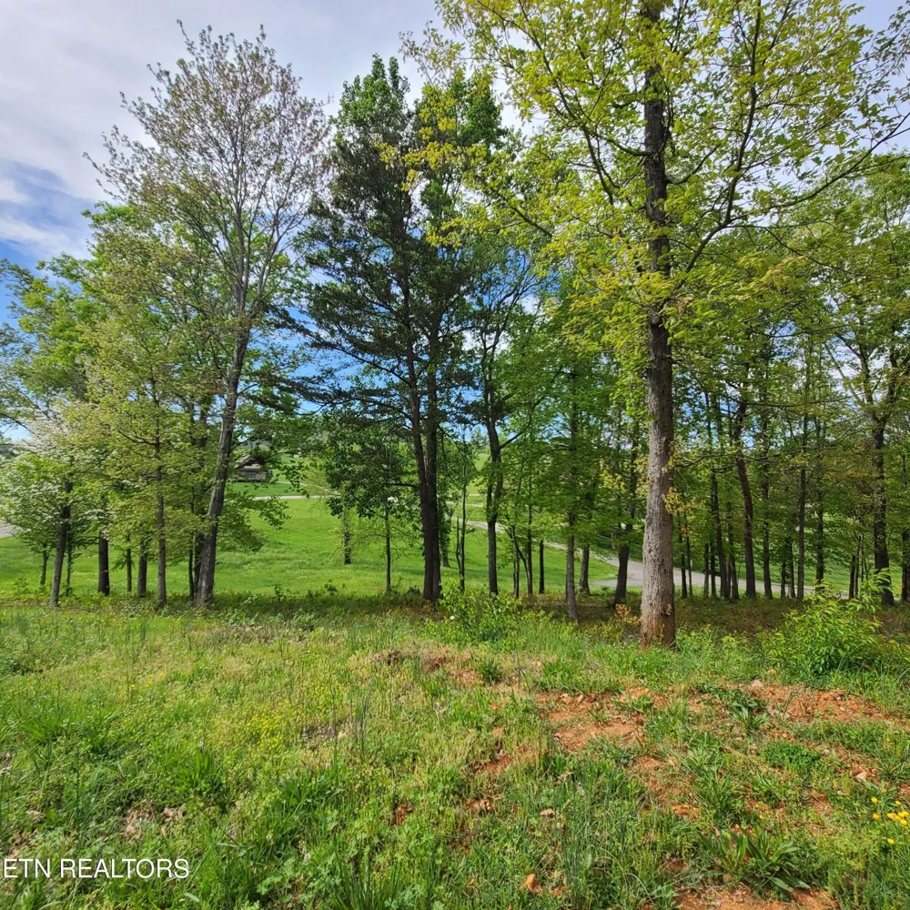 92 Majestic Circle Dandridge, TN 37725