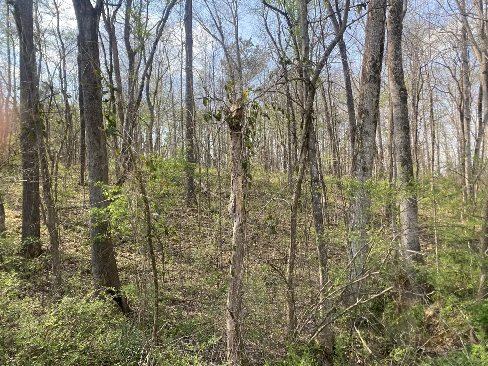 0 Mountain View Drive Morrison, TN 37357