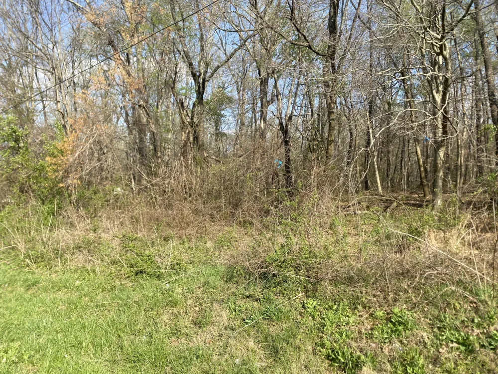 0 Mountain View Drive Morrison, TN 37357