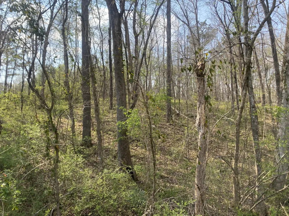 0 Mountain View Drive Morrison, TN 37357