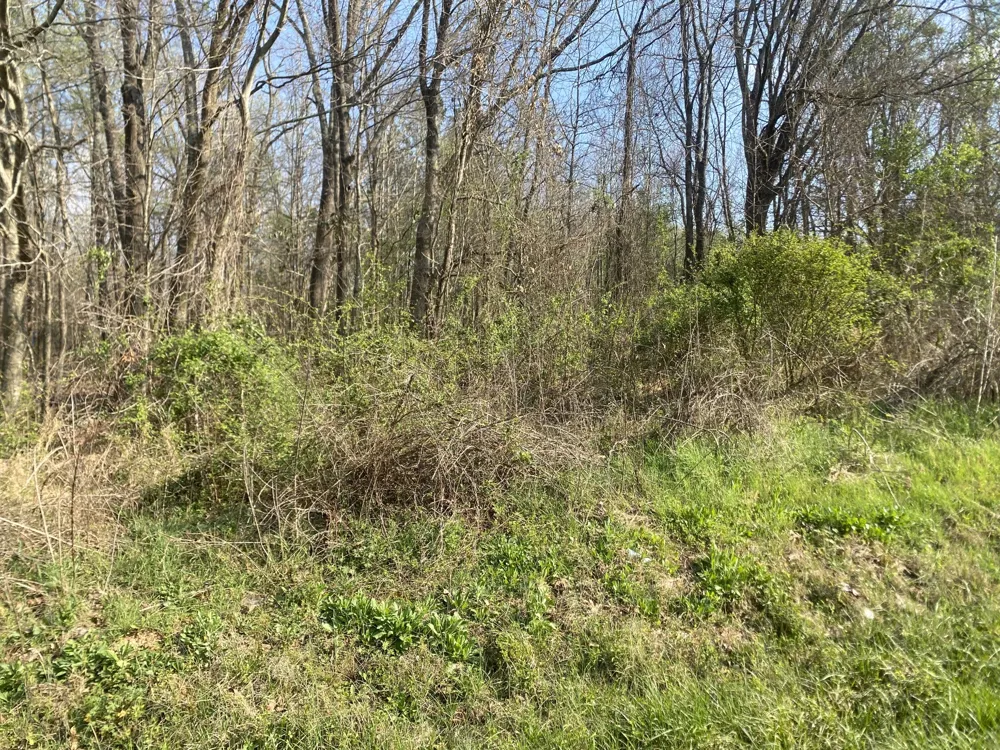 0 Mountain View Drive Morrison, TN 37357