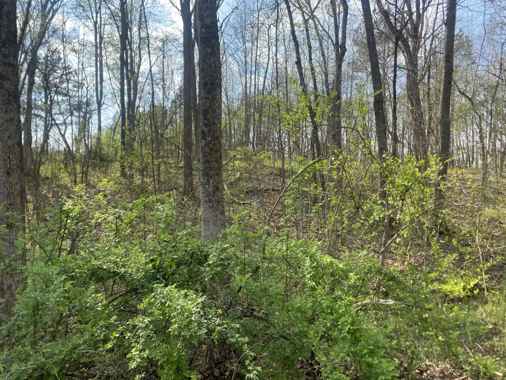 0 Mountain View Drive Morrison, TN 37357