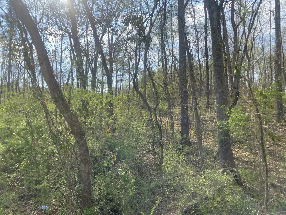 0 Mountain View Drive Morrison, TN 37357