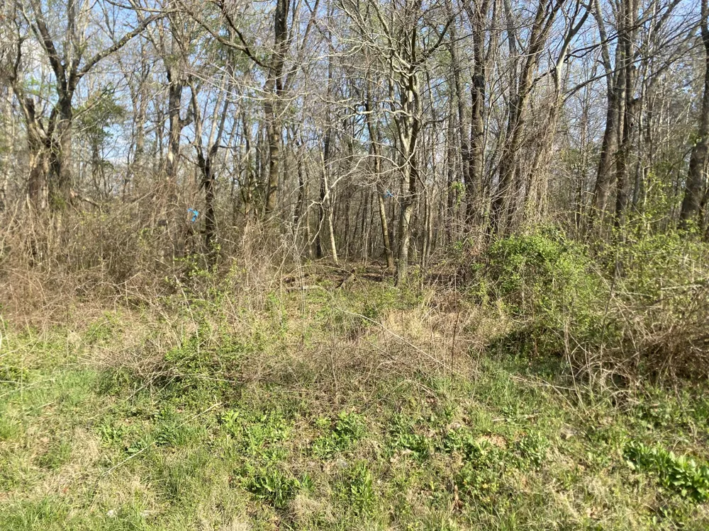 0 Mountain View Drive Morrison, TN 37357