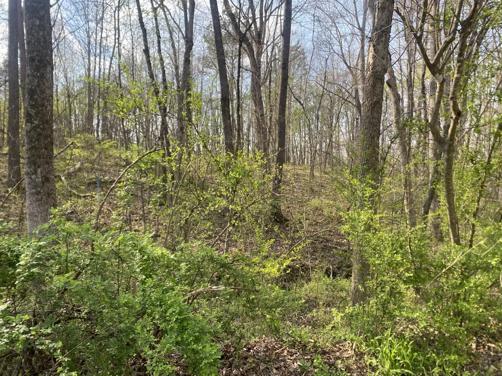 0 Mountain View Drive Morrison, TN 37357