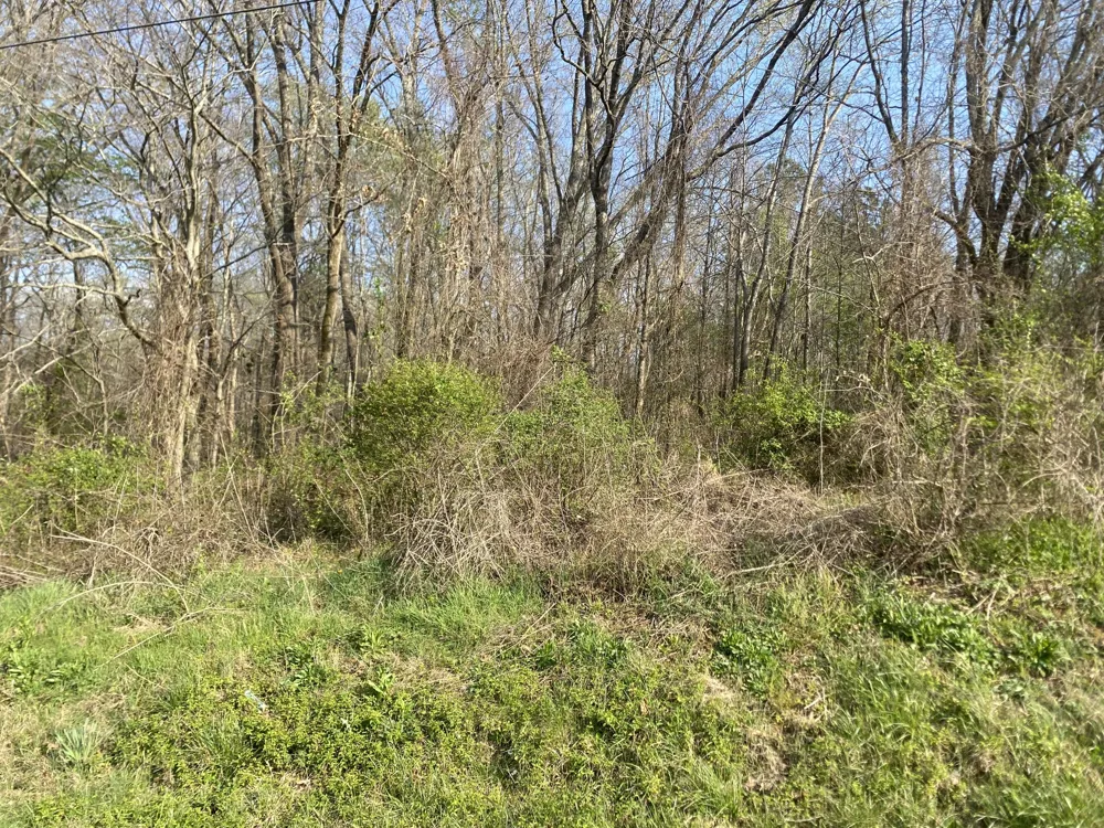 0 Mountain View Drive Morrison, TN 37357