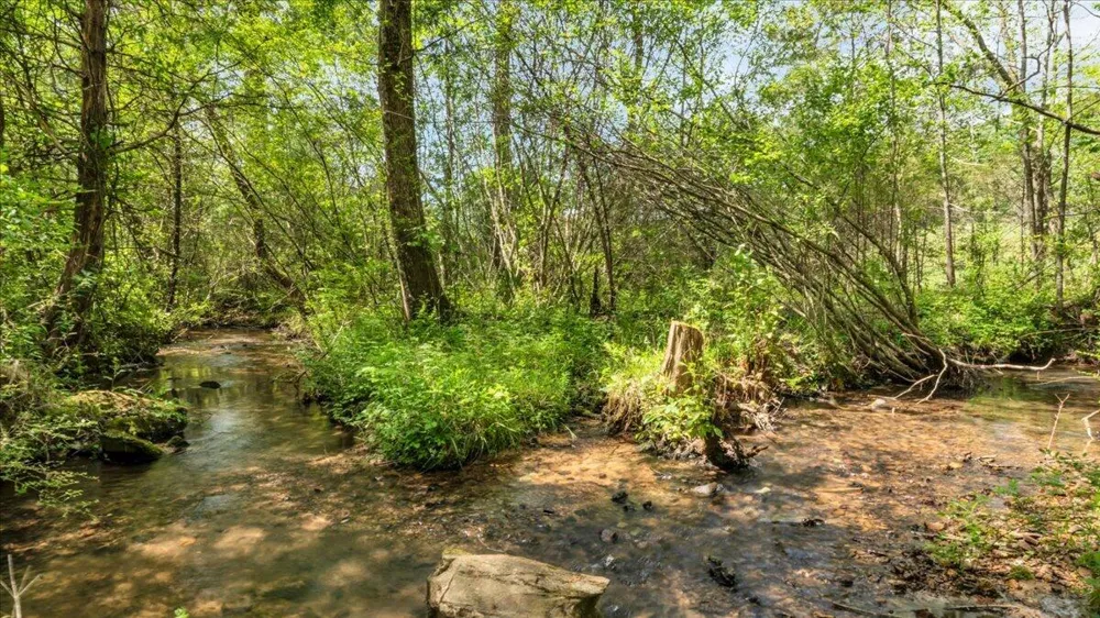 7463 Valley View Highway Whitwell, TN 37397