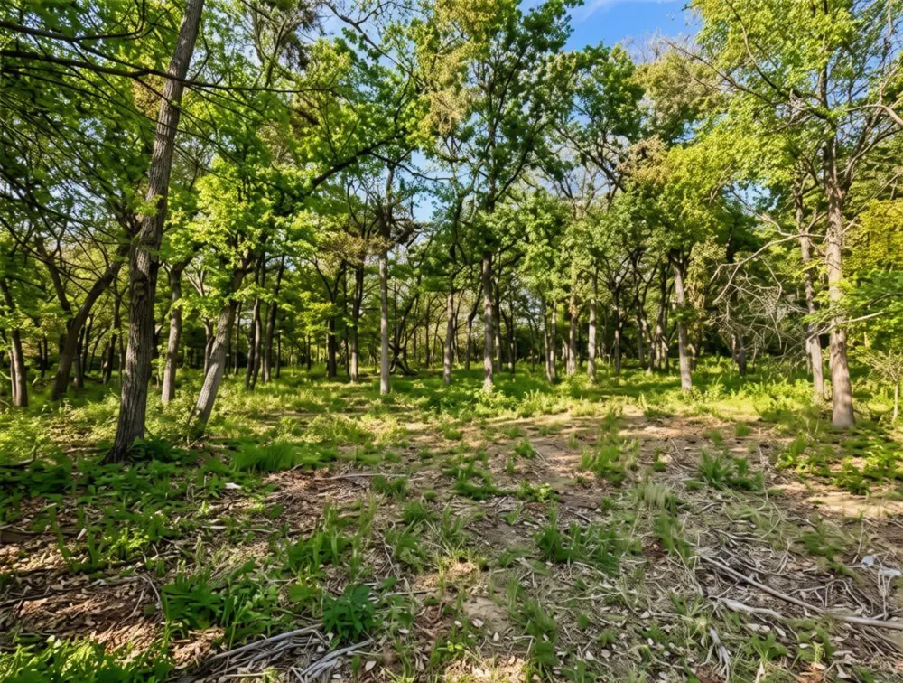 5997 County Road 308 Caldwell, TX 77836