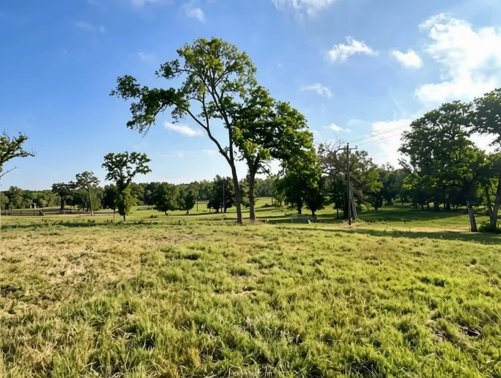 5997 County Road 308 Caldwell, TX 77836