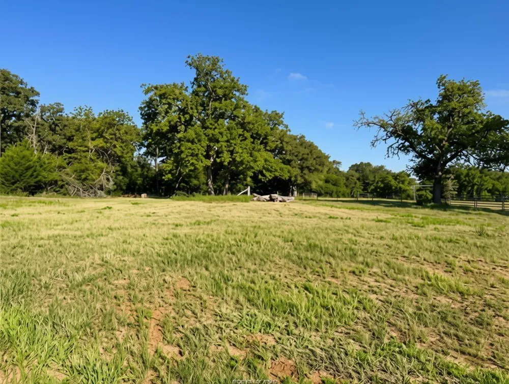 5997 County Road 308 Caldwell, TX 77836