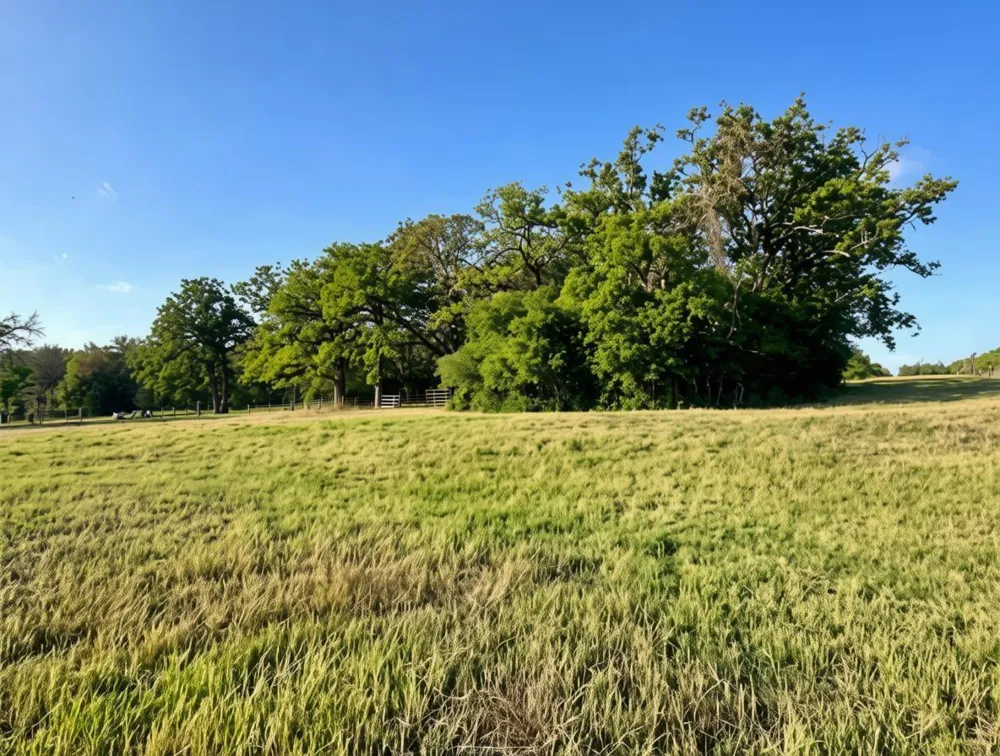 5997 County Road 308 Caldwell, TX 77836