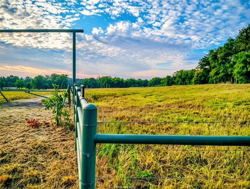 5997 County Road 308 Caldwell, TX 77836