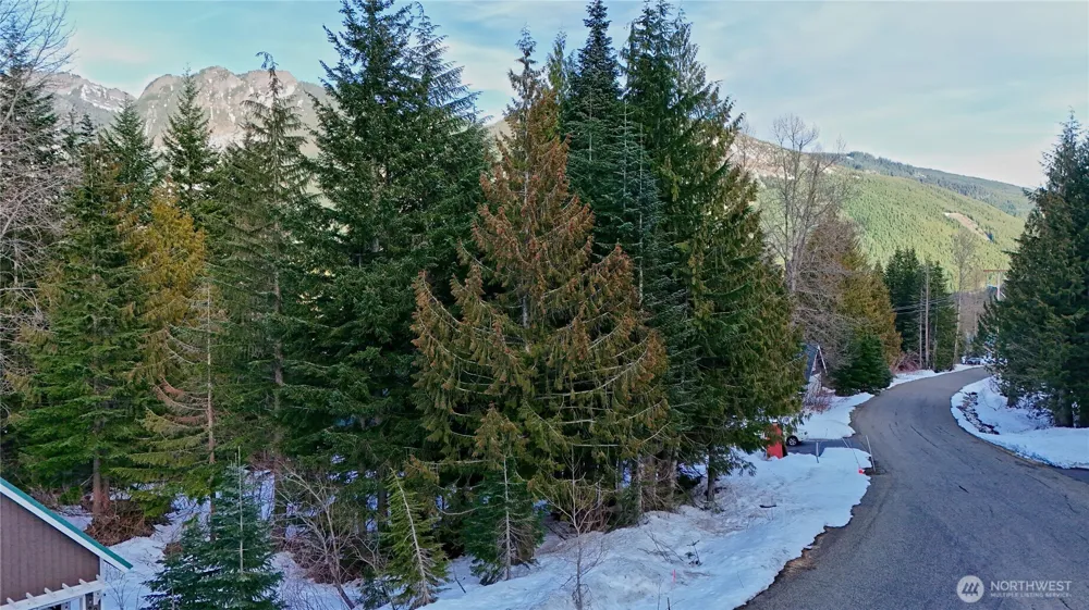56 Snoqualmie Drive Snoqualmie Pass, WA 98068
