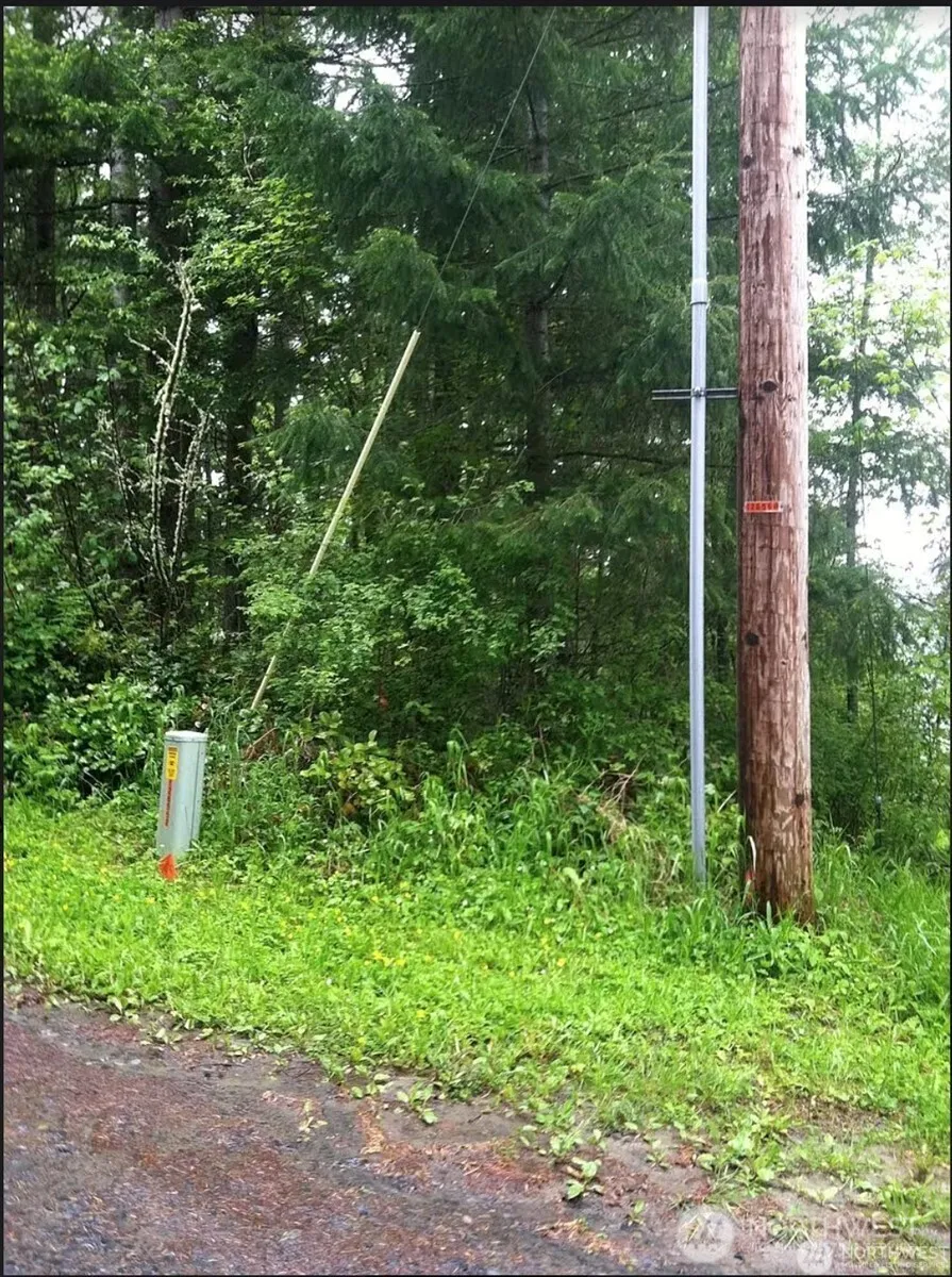50113 146th Avenue E Eatonville, WA 98328