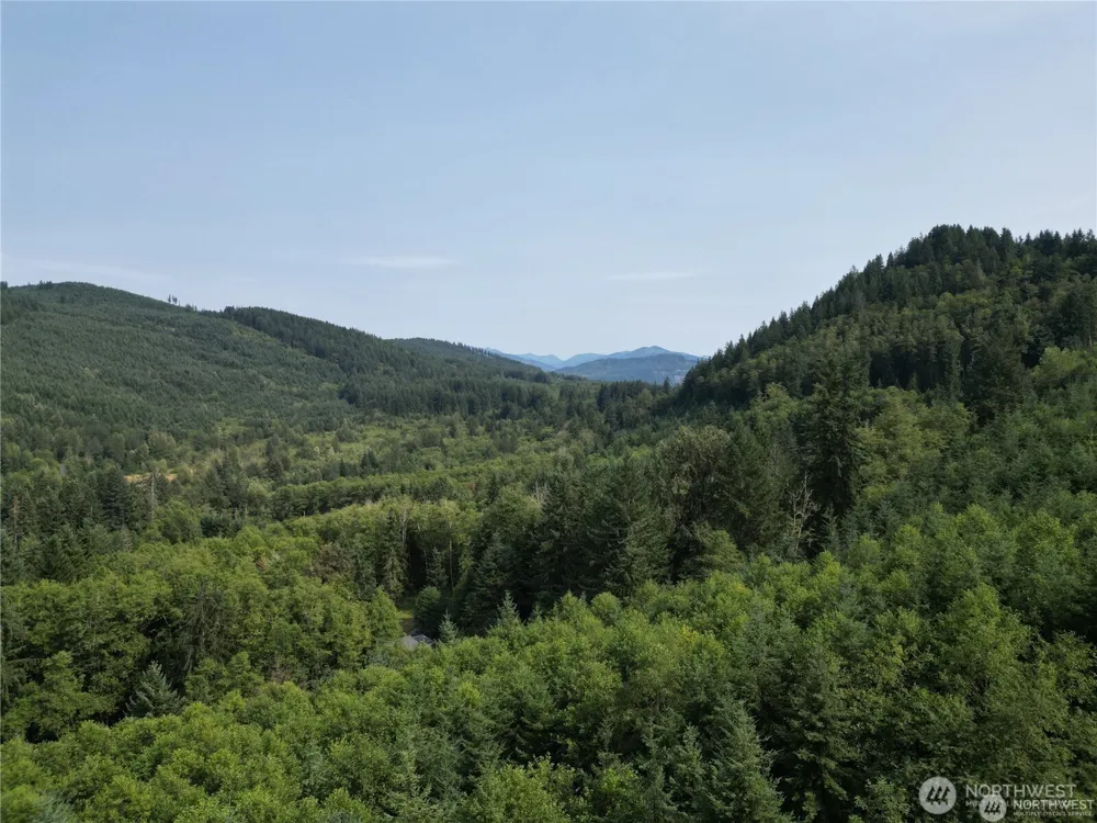 50113 146th Avenue E Eatonville, WA 98328