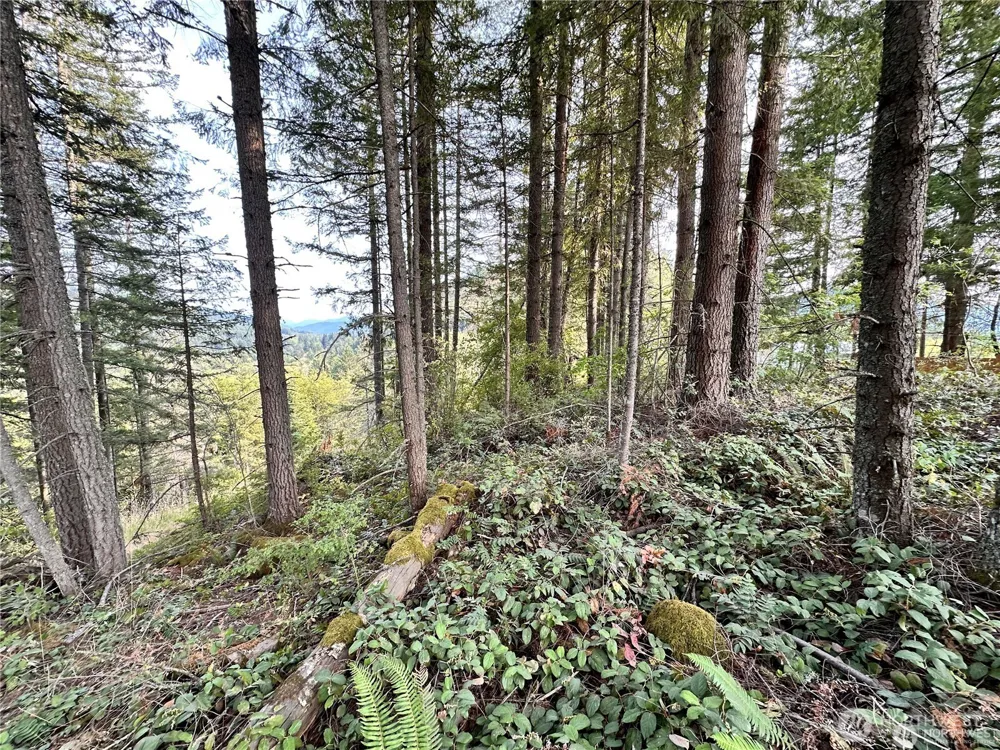 50113 146th Avenue E Eatonville, WA 98328