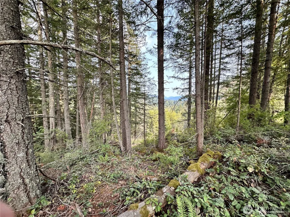 50113 146th Avenue E Eatonville, WA 98328