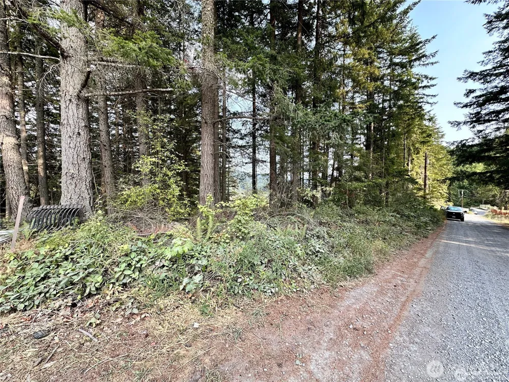 50113 146th Avenue E Eatonville, WA 98328
