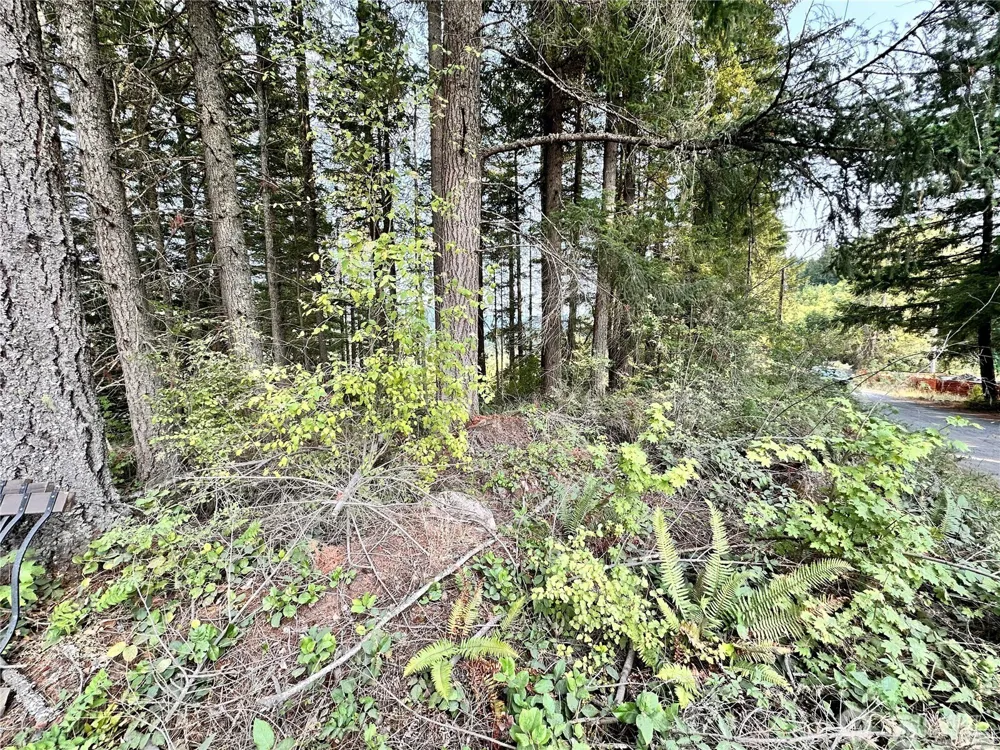 50113 146th Avenue E Eatonville, WA 98328