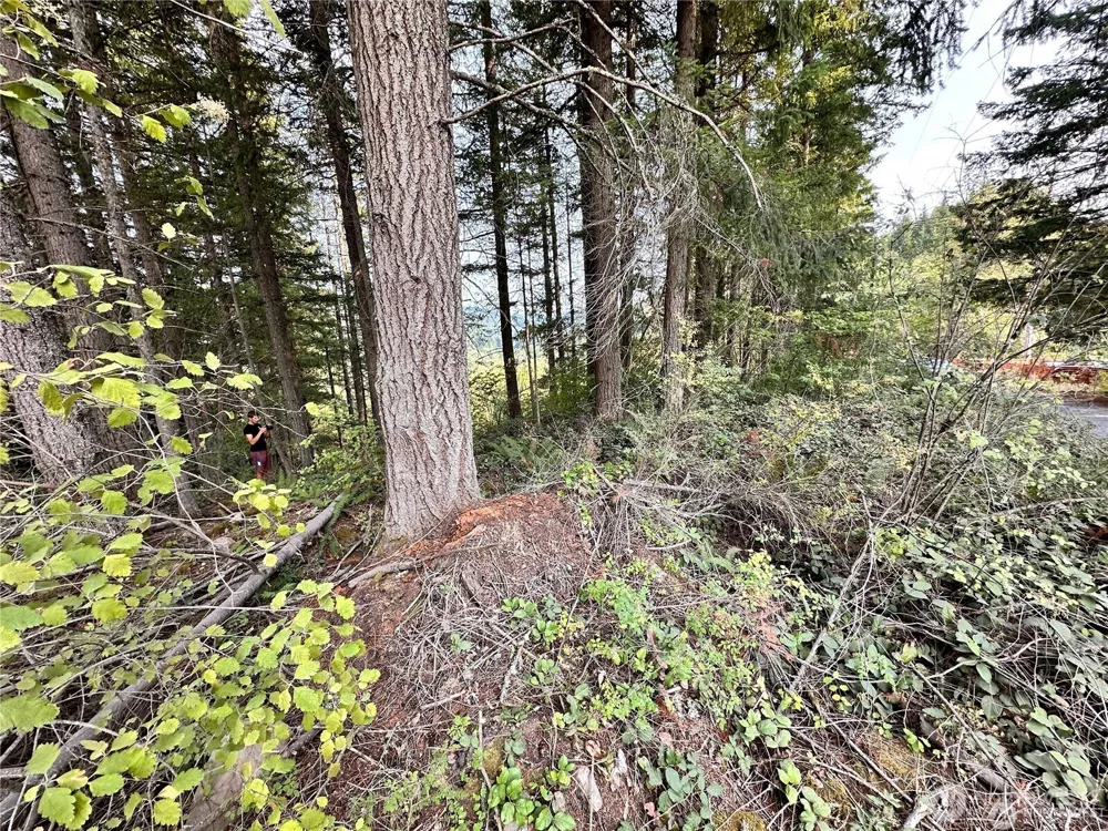 50113 146th Avenue E Eatonville, WA 98328