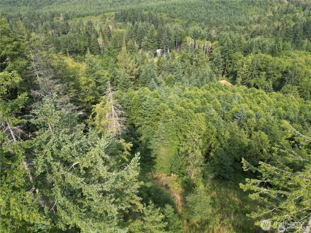 50113 146th Avenue E Eatonville, WA 98328