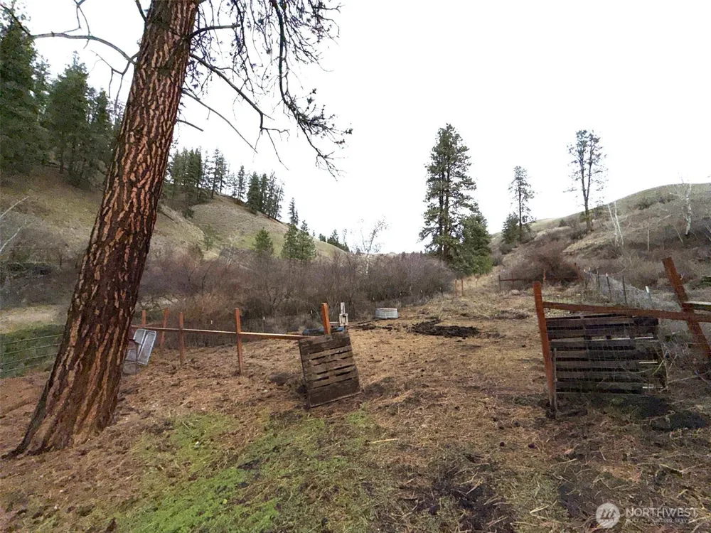 0 TBD Cottonwood Creek Road Curlew, WA 99118