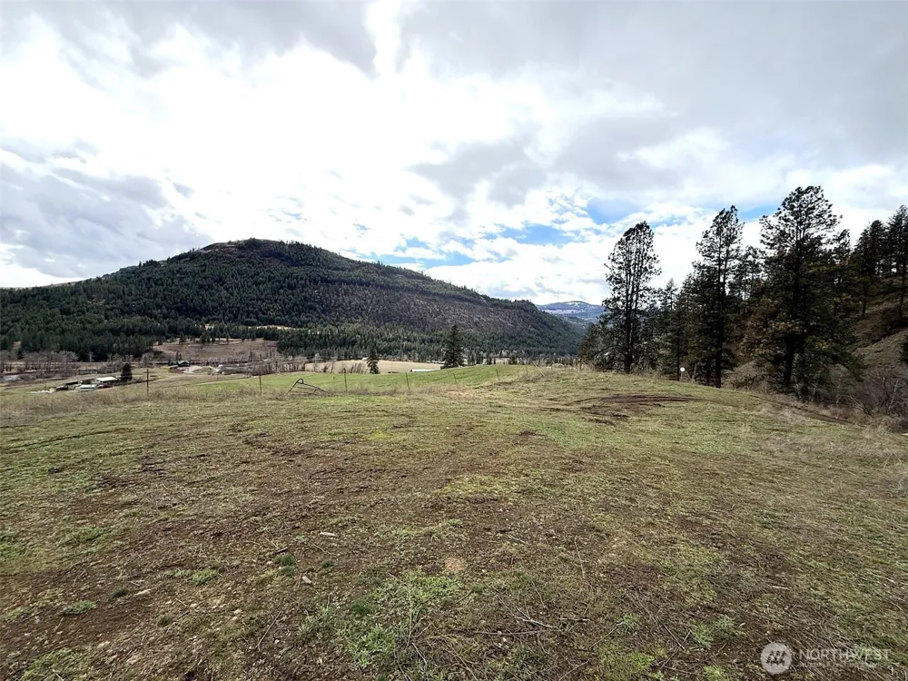 0 TBD Cottonwood Creek Road Curlew, WA 99118