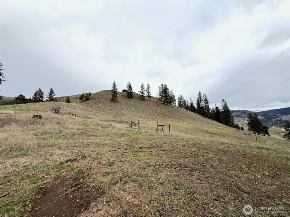 0 TBD Cottonwood Creek Road Curlew, WA 99118