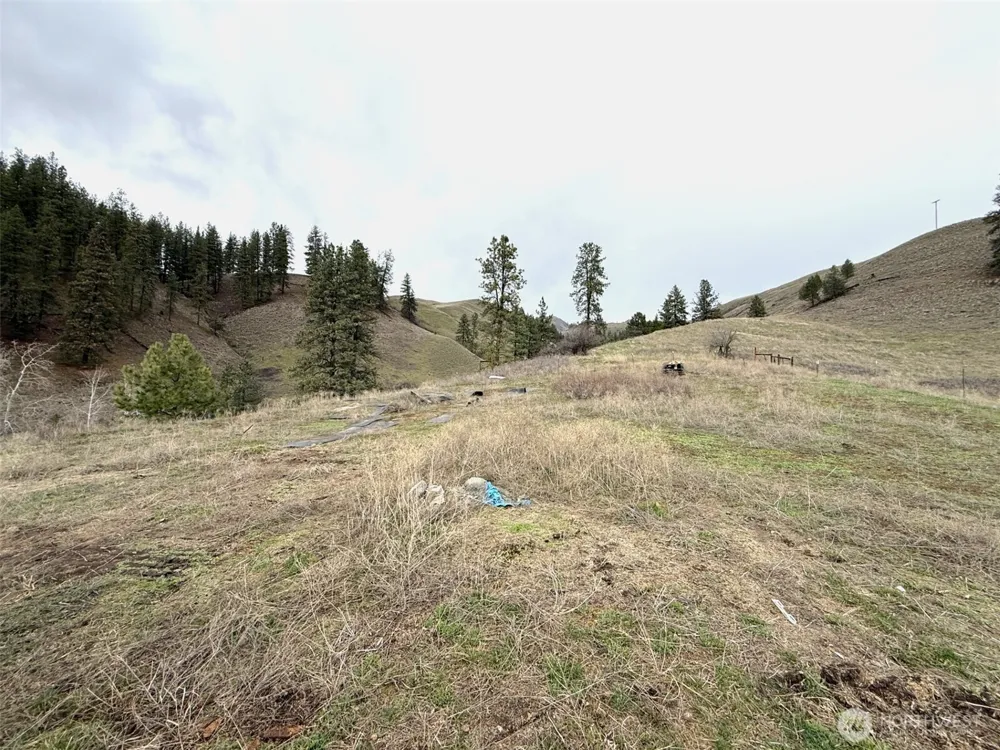 0 TBD Cottonwood Creek Road Curlew, WA 99118
