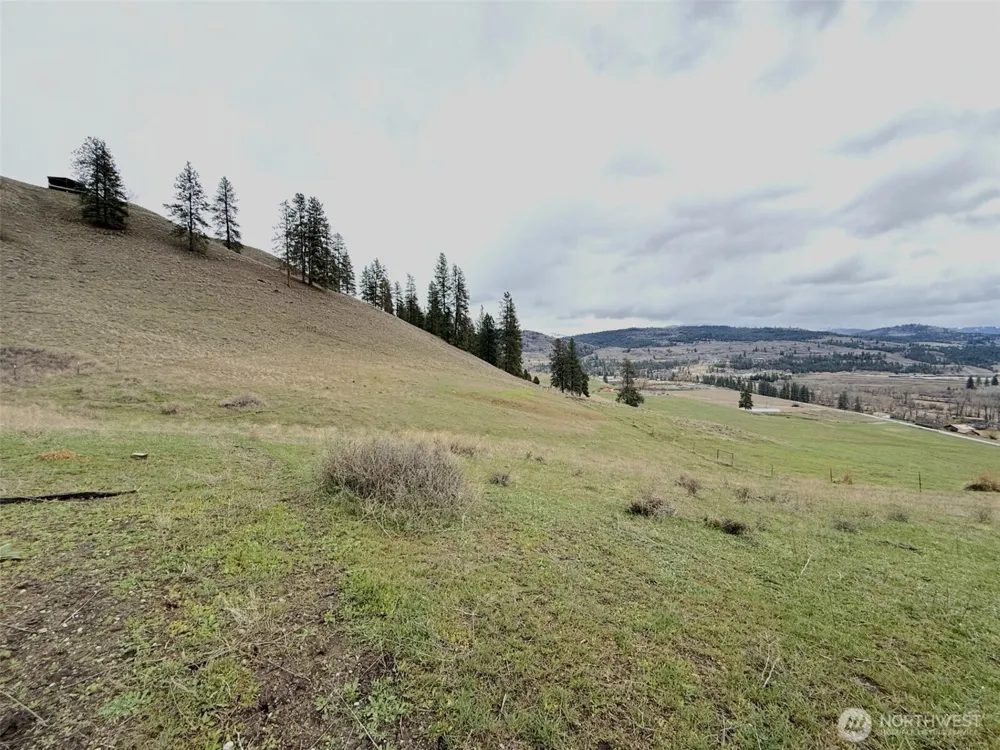0 TBD Cottonwood Creek Road Curlew, WA 99118