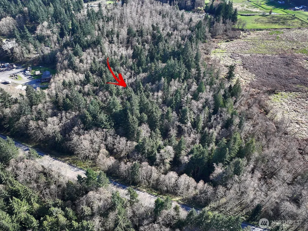 0 xxx SR 525 Langley, WA 98260