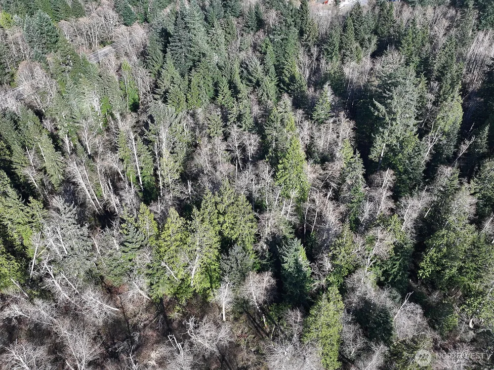 0 xxx SR 525 Langley, WA 98260