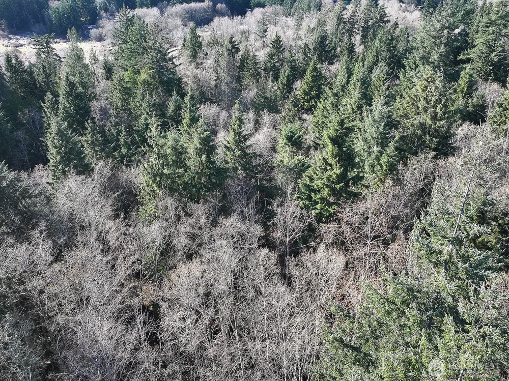 0 xxx SR 525 Langley, WA 98260