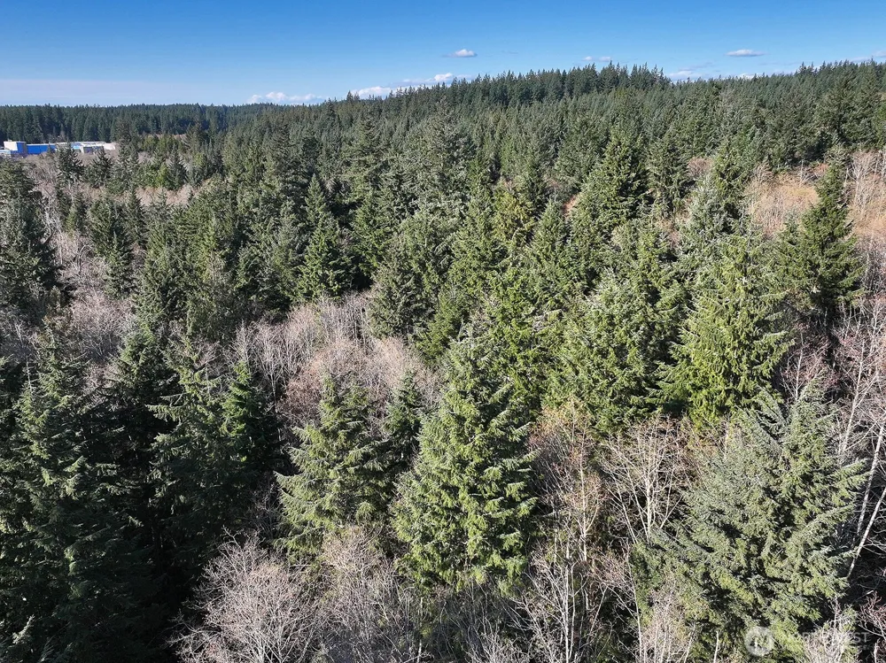 0 xxx SR 525 Langley, WA 98260