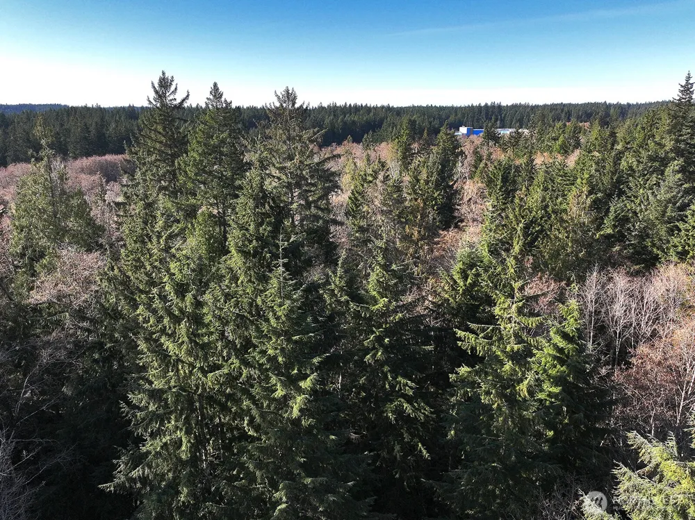 0 xxx SR 525 Langley, WA 98260